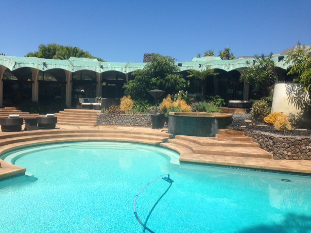 Polished yard design with decorative borders and focal points