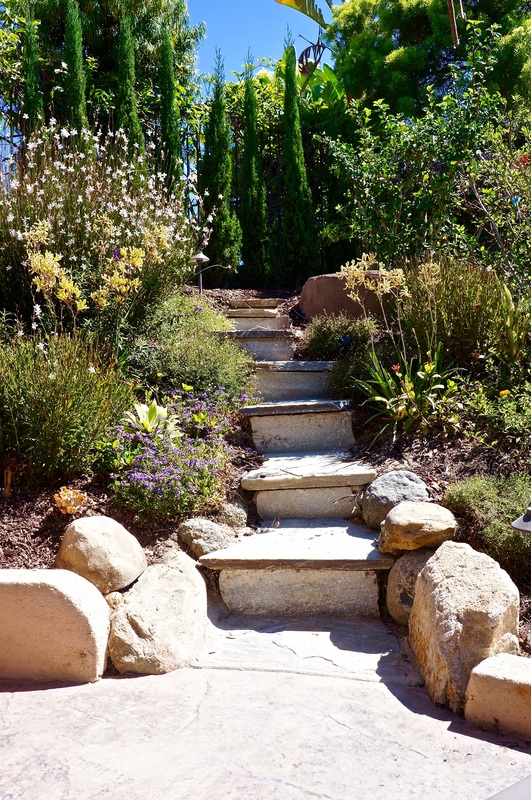 Elegant patio design with integrated landscape borders