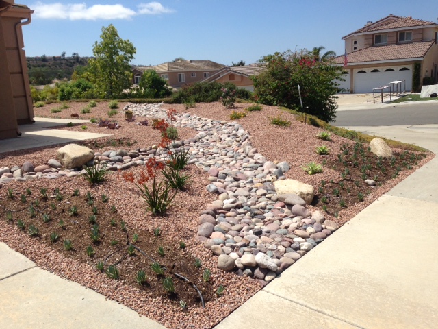 Landscape renovation in San Diego