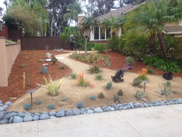 Completed drought-tolerant planting design with native species
