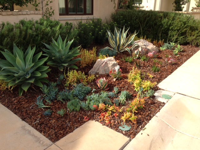 Resort-style backyard landscape with poolside plantings
