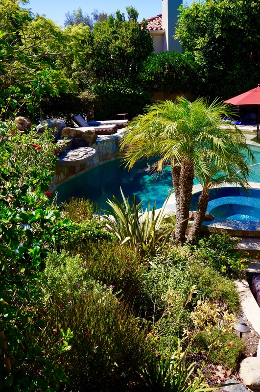 Tropical garden stream and water feature