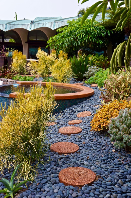 Professional garden walkway with palm trees