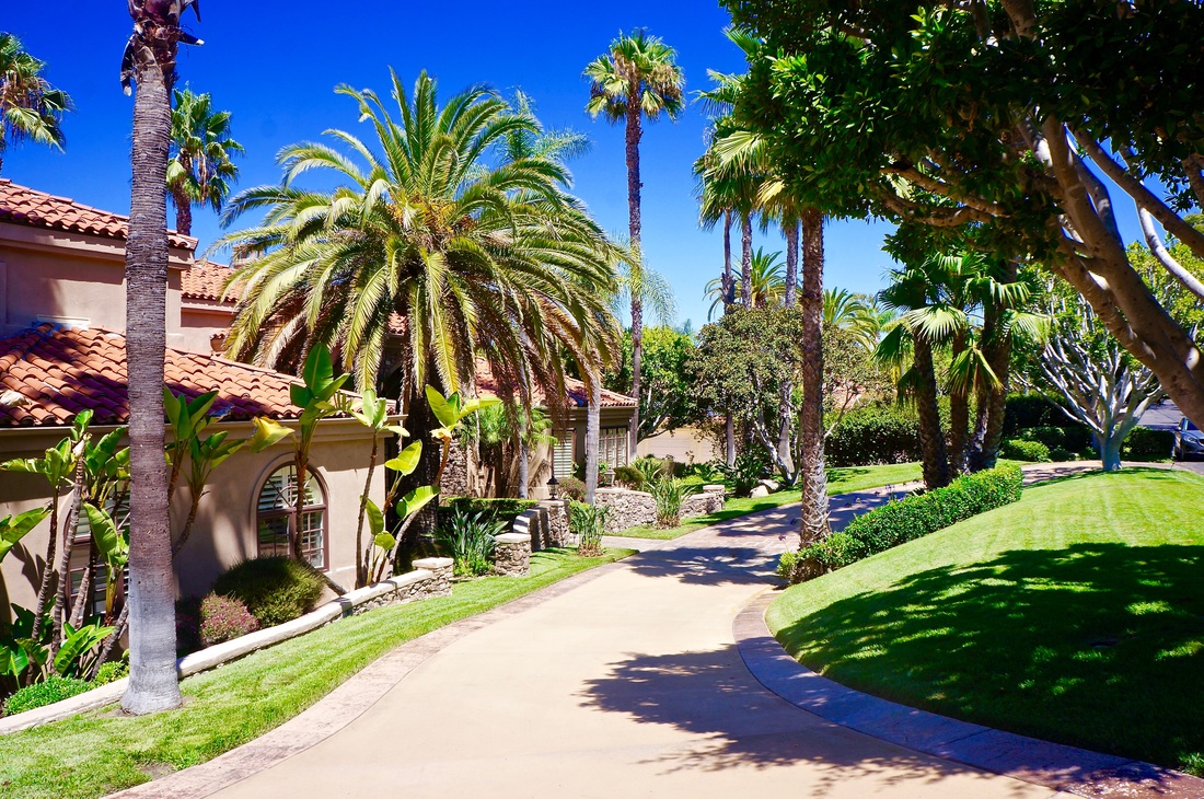Commercial landscape with garden walkway