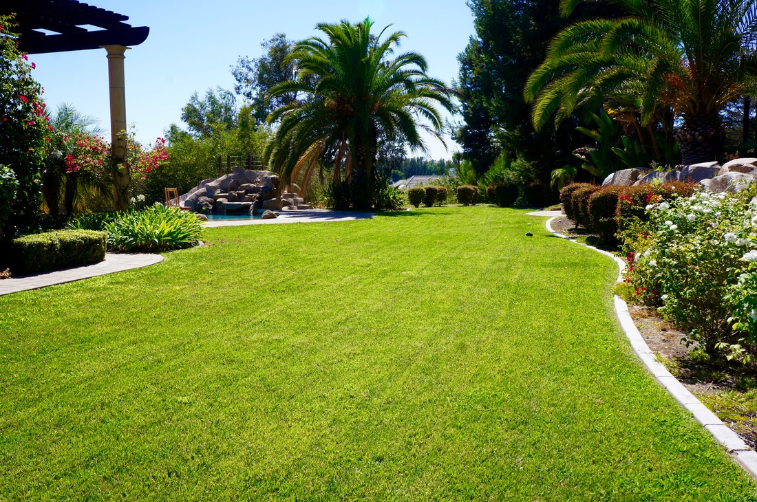 Manicured lawn maintained by professional sprinkler system