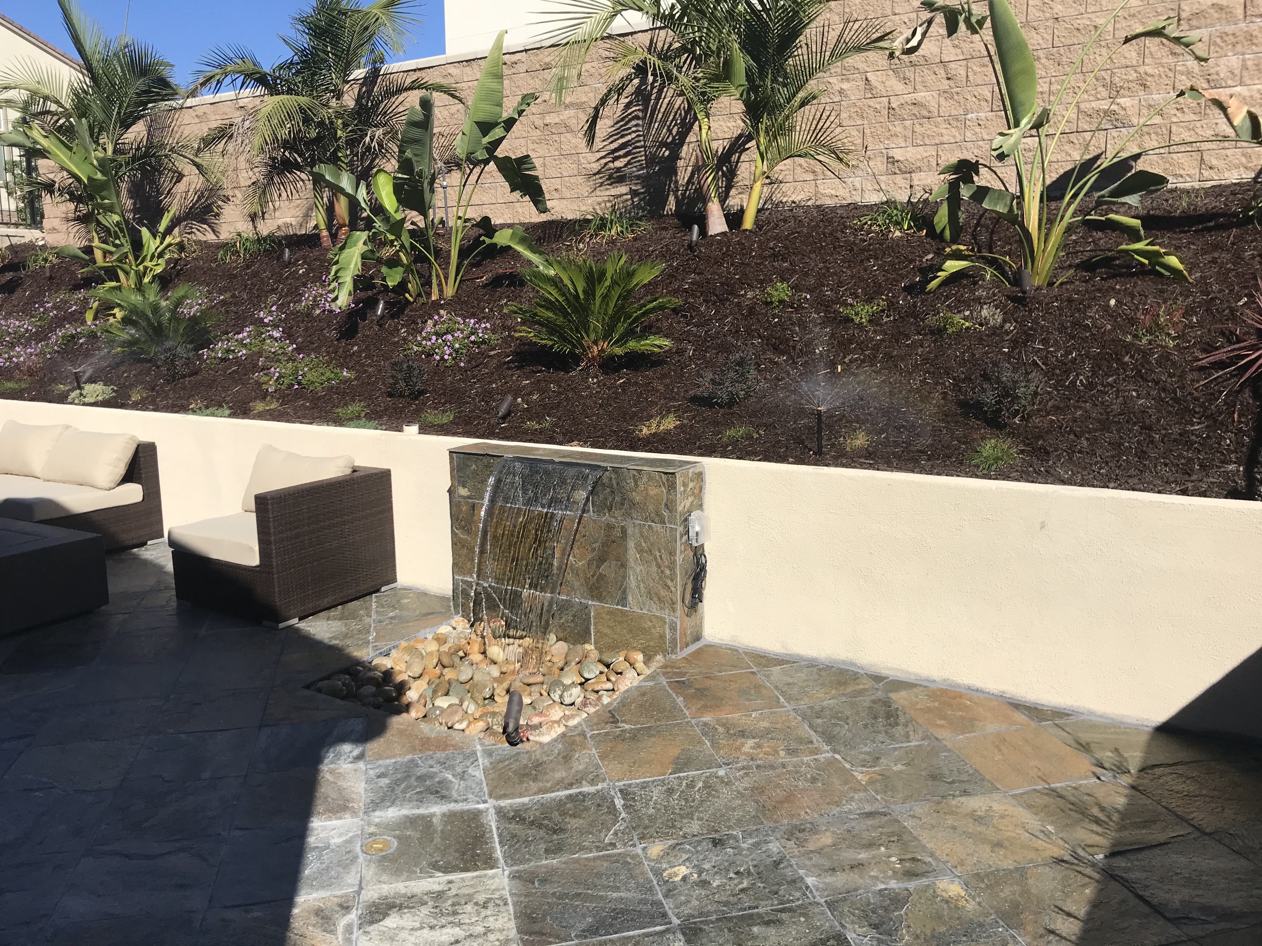 Completed full-yard landscape renovation in North County San Diego
