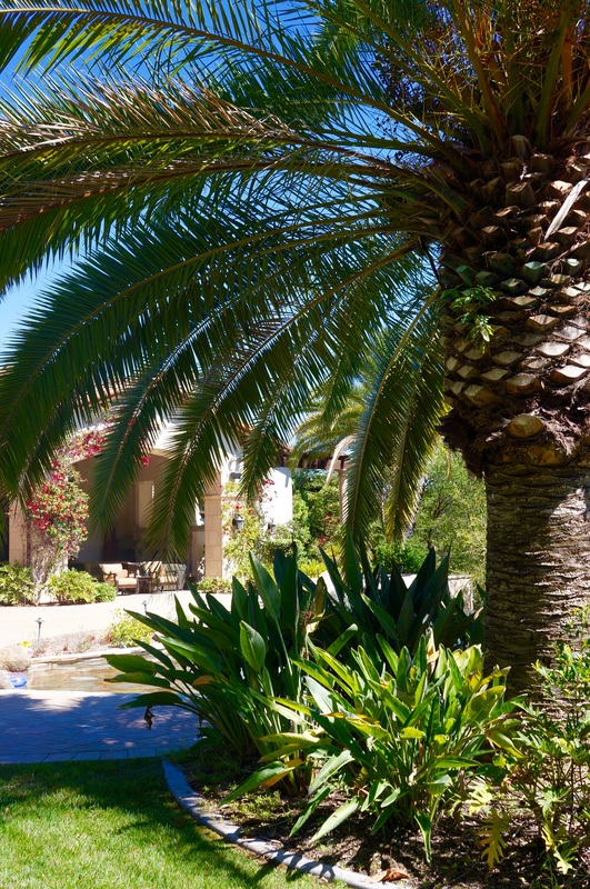 Close-up of a professionally designed lighting layout showing fixture placement strategy