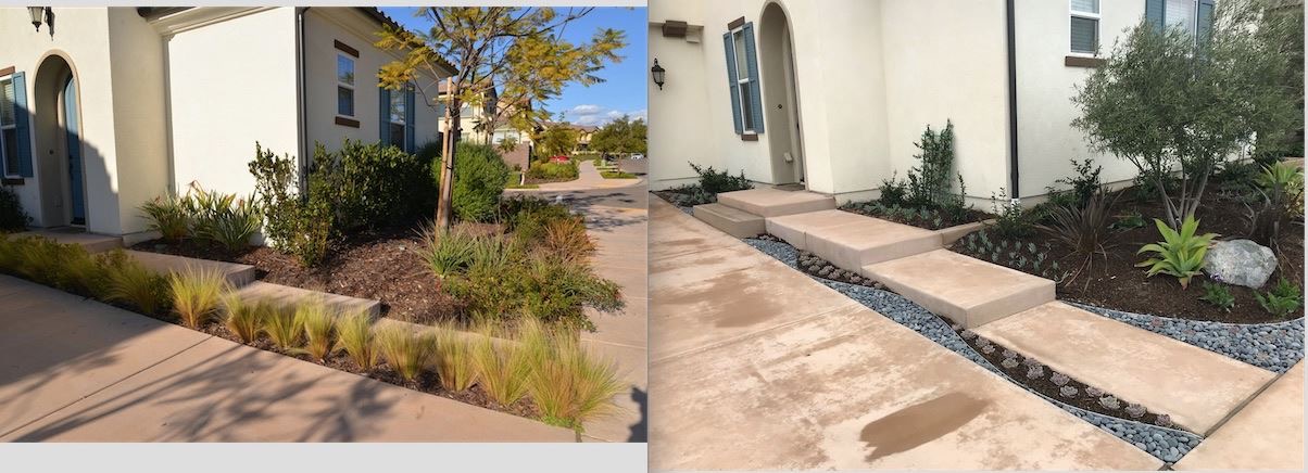 Professional landscape installation with drip irrigation