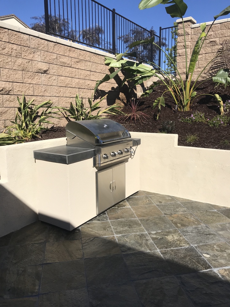 Professionally designed landscape with layered plantings in San Diego