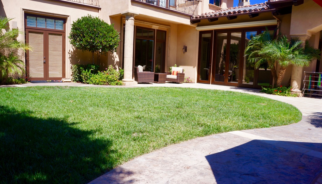 Carmel Valley pool and lawn