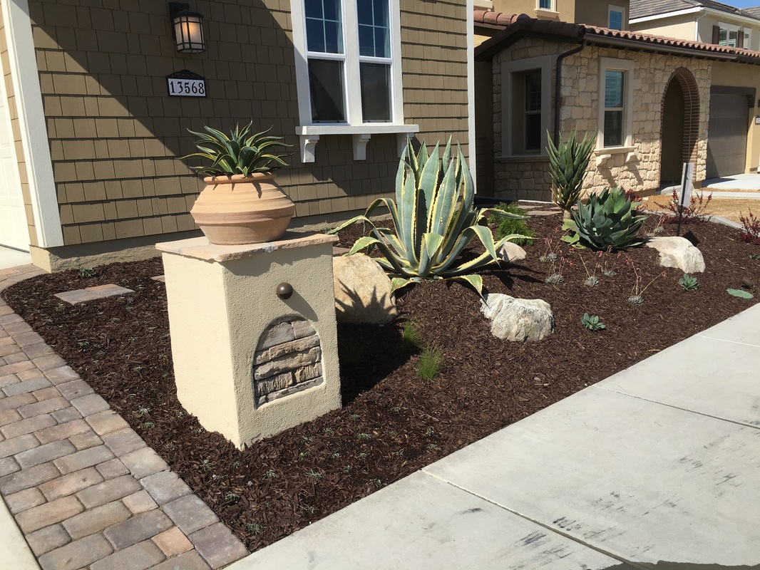 Completed landscape with softscape and paver integration