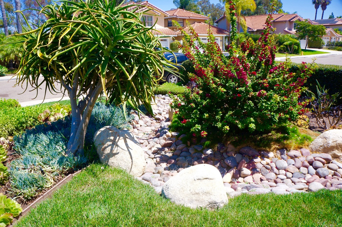 Luxury estate landscape design with pool and rock grotto in San Diego