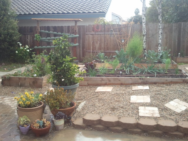 Custom raised vegetable garden with organic growing beds