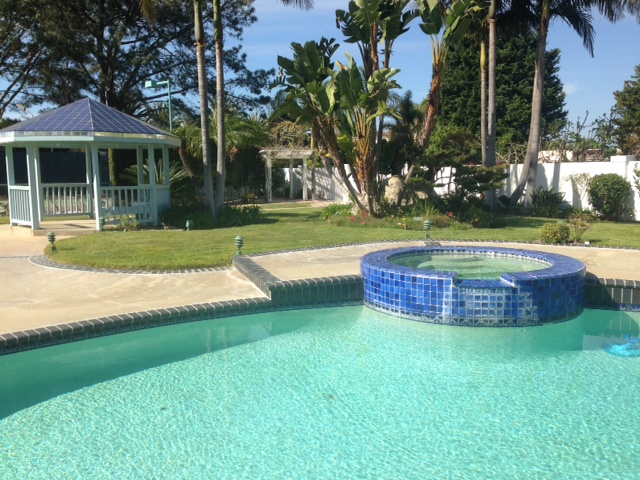 Resort pool with palm trees