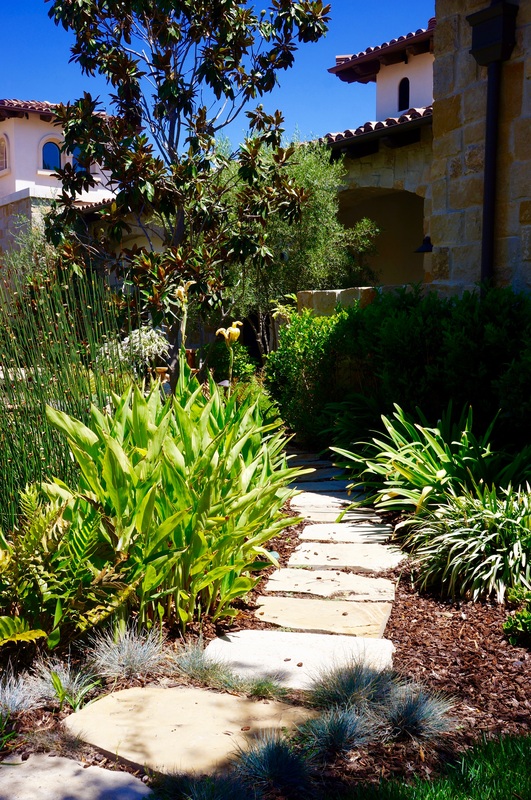 Professional garden planting installation