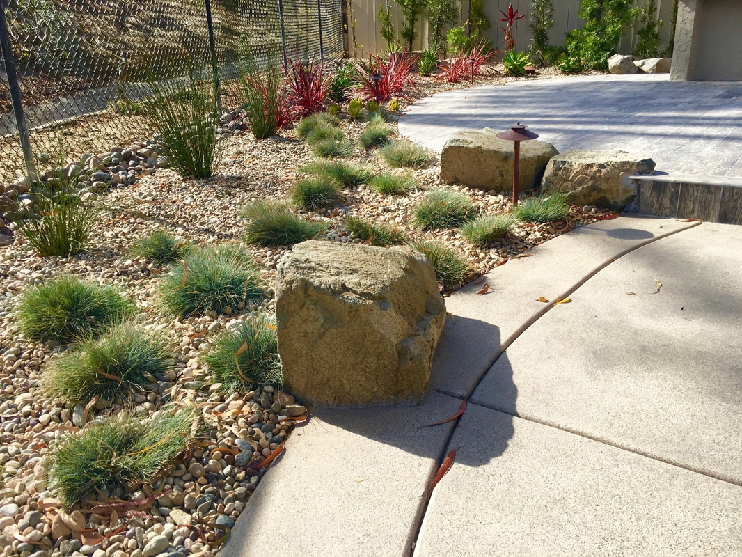Side yard plantings after professional landscape installation