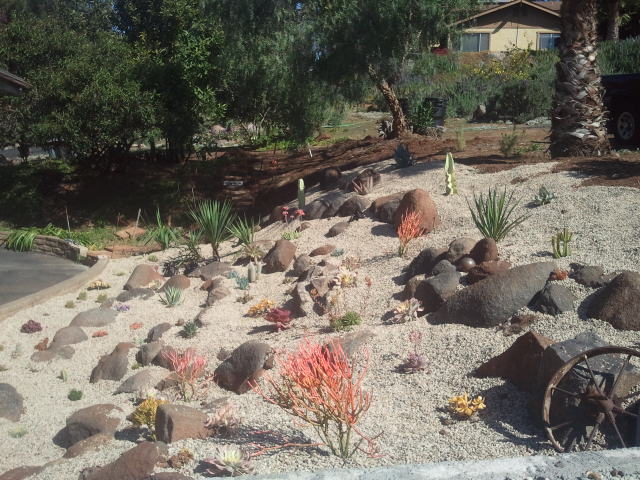 Hillside slope transformed with retaining walls and drought-tolerant plantings