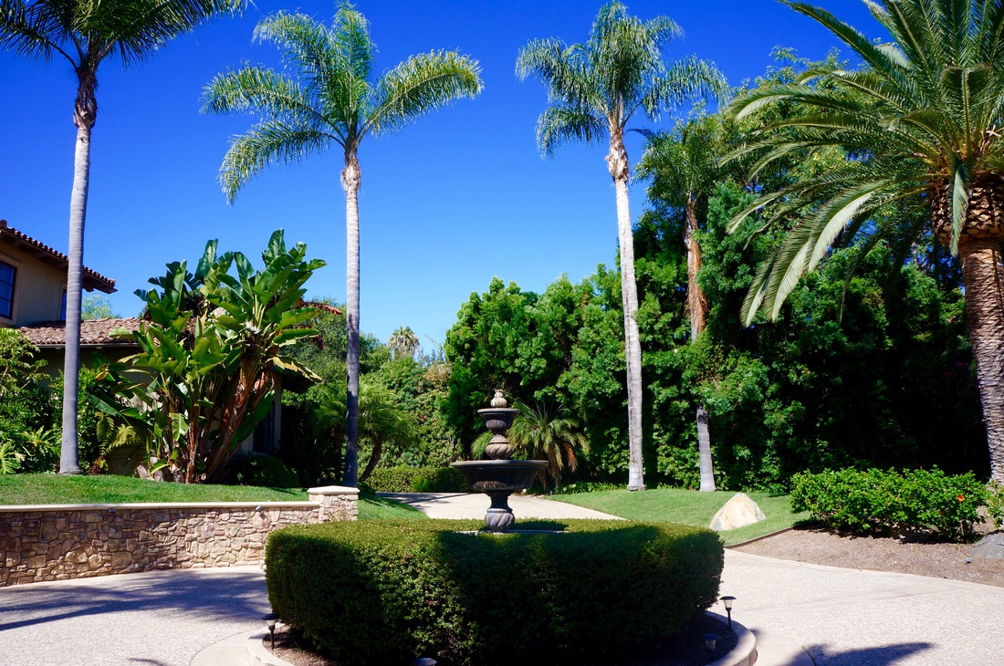 Stone walkway pathway through garden