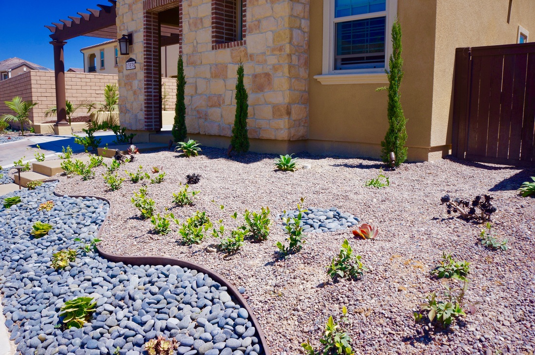 Landscape design garden view with layered plantings