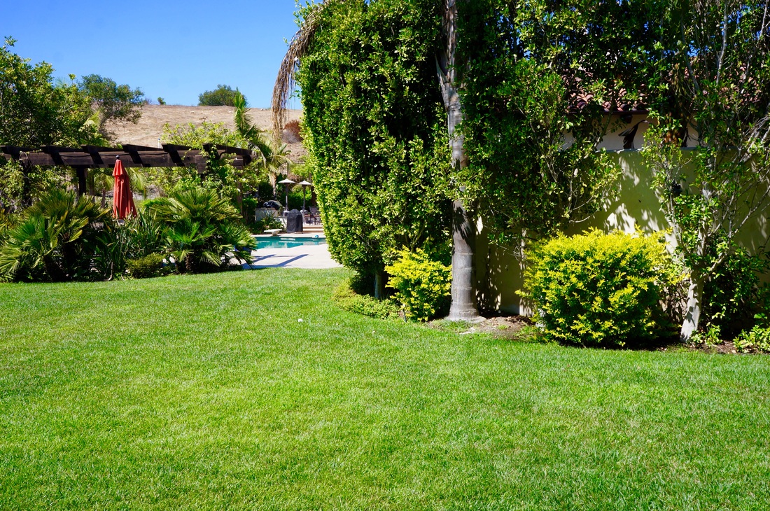 Crosby Estate landscape detail with custom stone and mature plantings