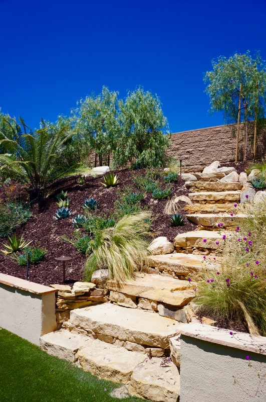 Complete outdoor living space with patio, plantings, and landscape lighting in San Diego