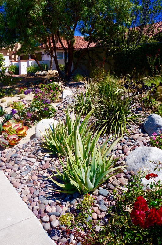 Landscape renovation in San Diego