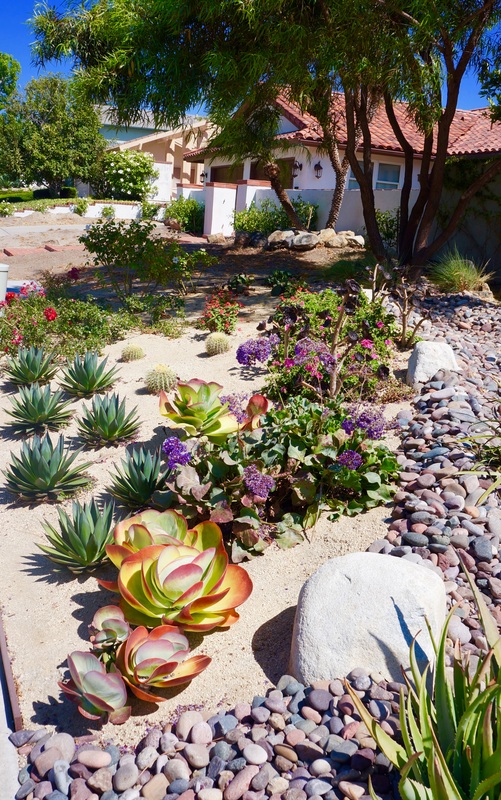 Sweeping view of modern San Diego landscape renovation
