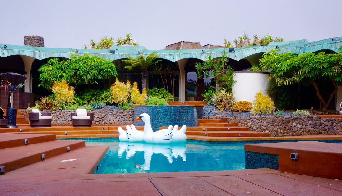 La Jolla backyard patio design by Arcadian Landscape