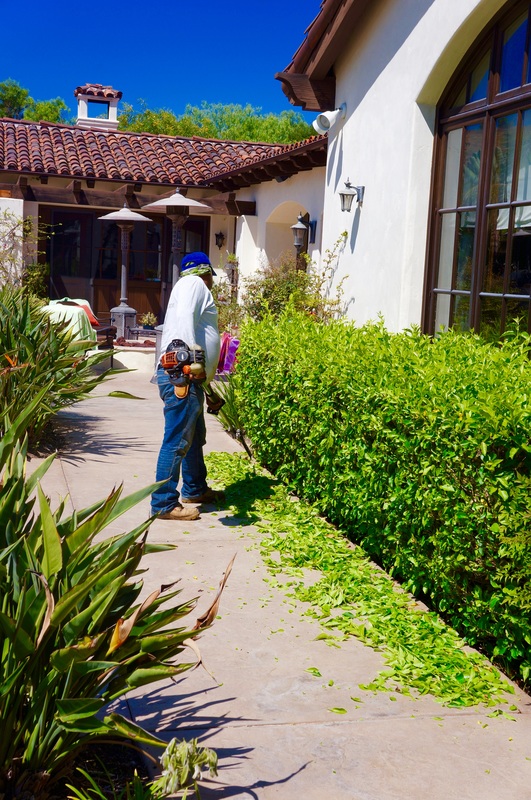 Crosby Estate tropical steps in Rancho Santa Fe