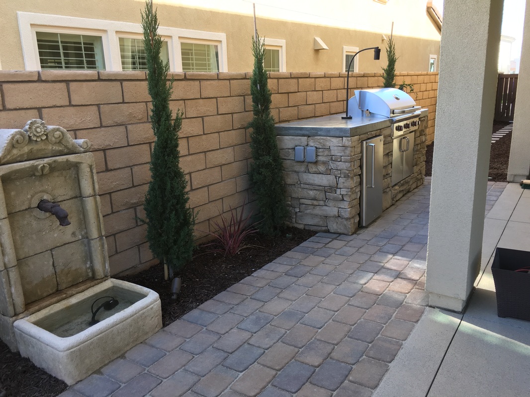 Landscaped garden with water feature and stone pathway
