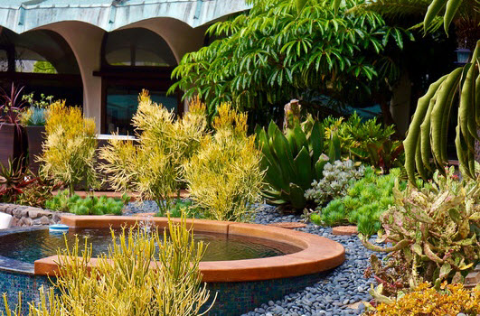 Landscape design consultation in San Diego