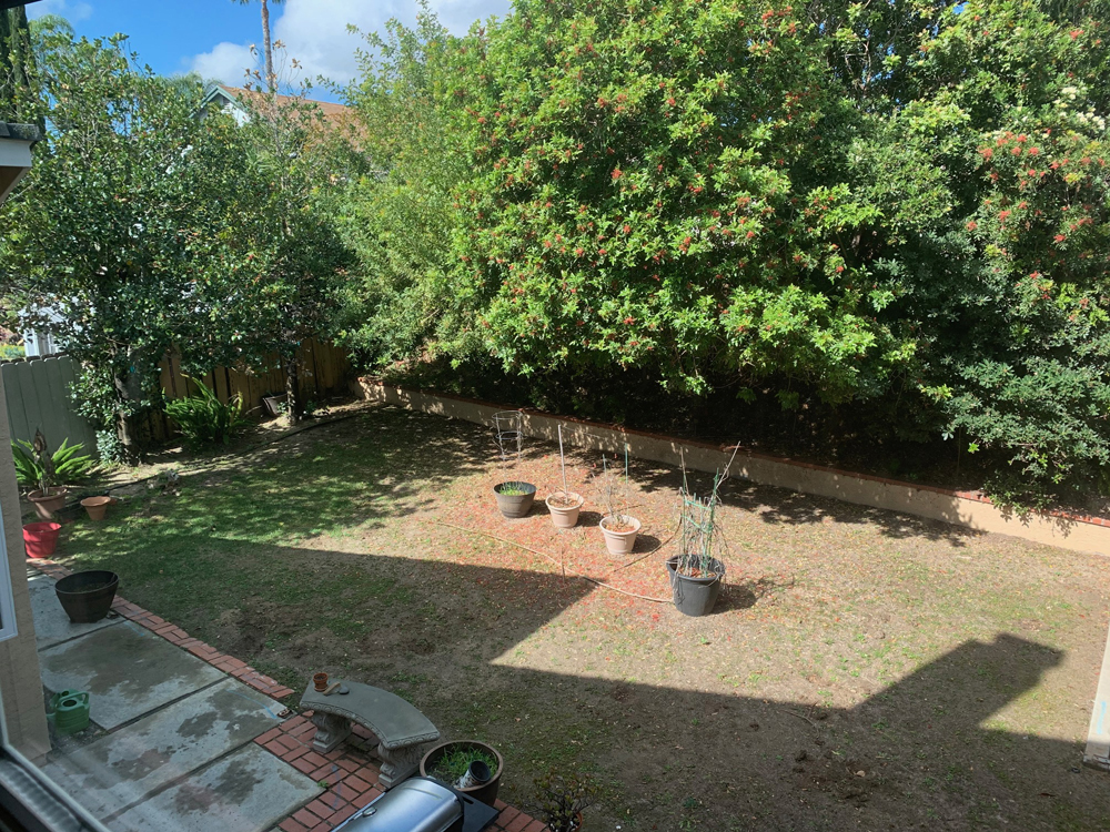 Before and after yard transformation in San Diego