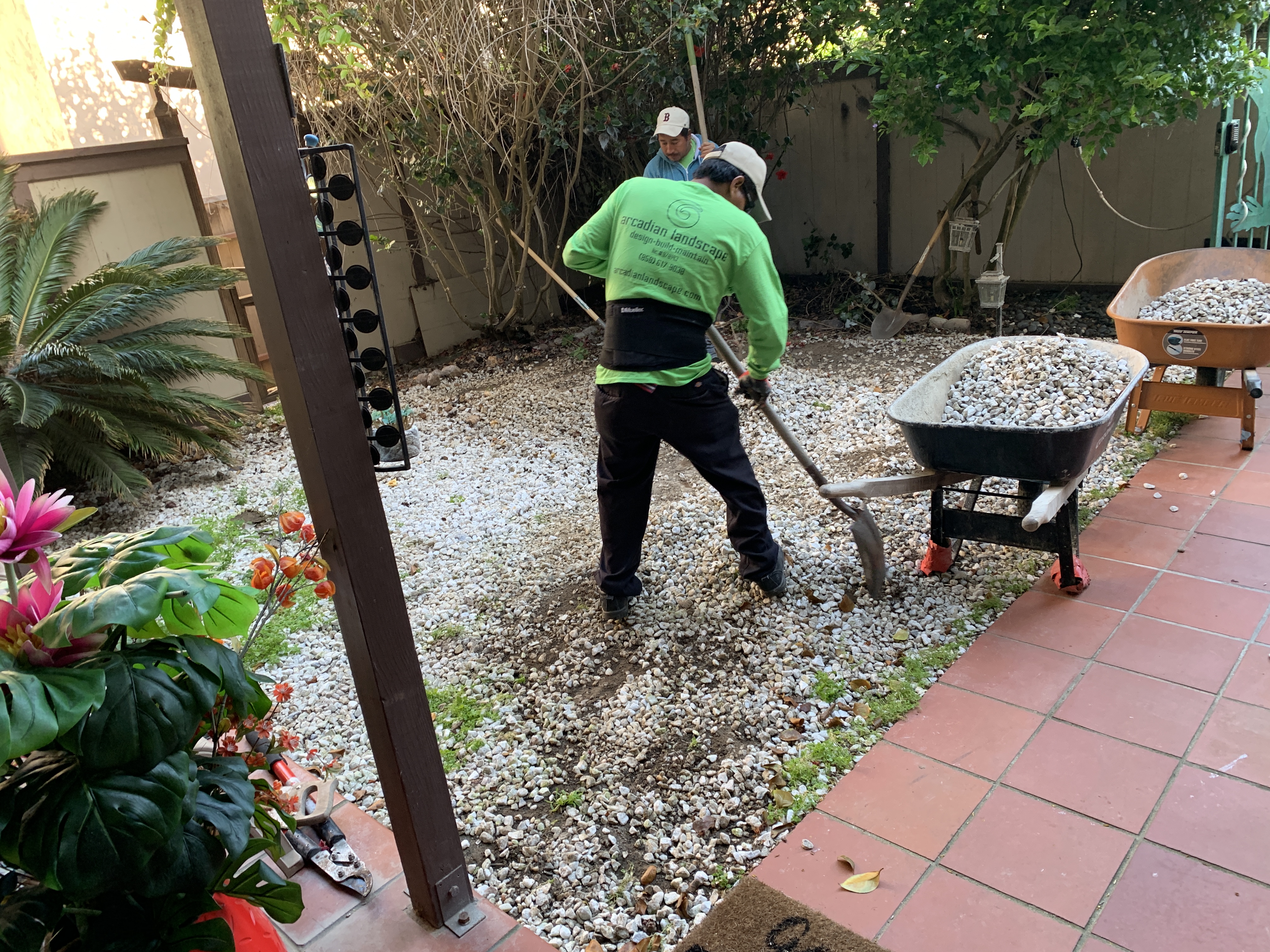 Before photo of yard awaiting landscape design renovation