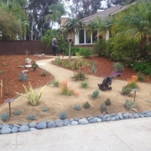 Drought Tolerant After