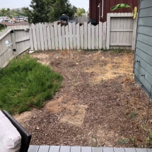 San Diego Landscape Design