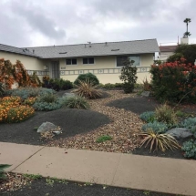 San Diego Succulent Garden Installation