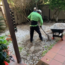 ArcadianLandscapeDesign-Before