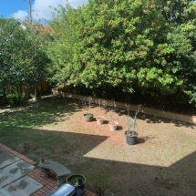 yard-before